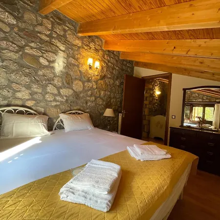 Dağ evi Stonenest -luxury Stone Kalavryta