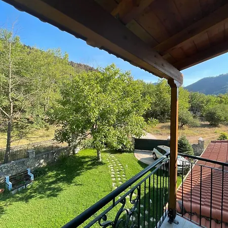 Stonenest -luxury Stone *