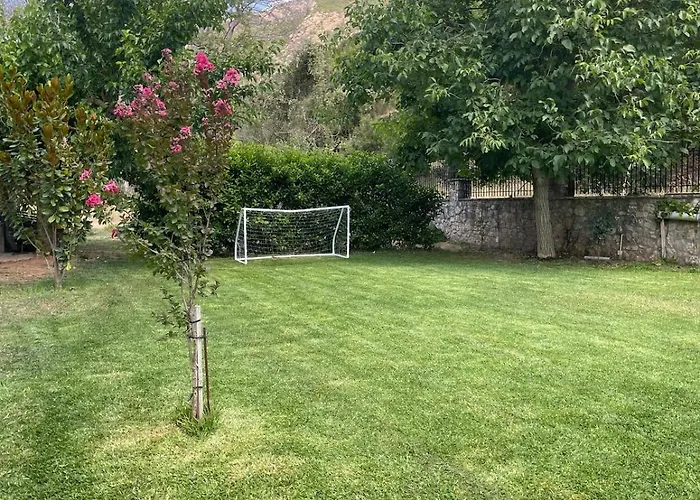 Stonenest -luxury Stone *