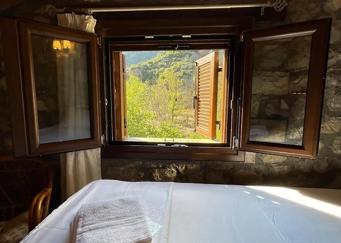 Stonenest -luxury Stone *